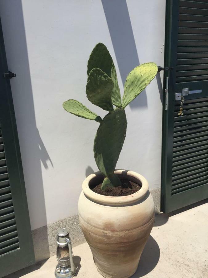 Casa Bianca Amore أمالفي المظهر الخارجي الصورة